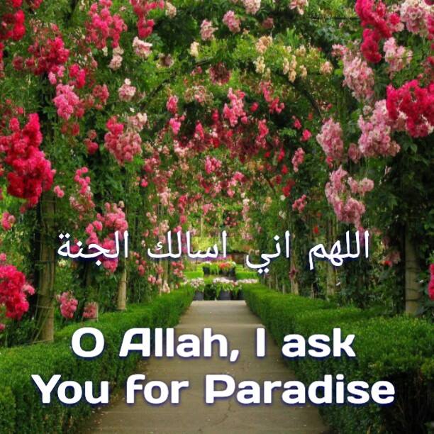 𝕀𝕊𝕃𝔸𝕄𝕀ℂ 𝔽ℝ𝔼𝔼𝔻𝕆𝕄 On Twitter اللهم اني اسالك الجنة Allahumma Inni As Aluka Al Jannah O Allah I Ask You For Paradise Http T Co K8abg5rvk3 Twitter