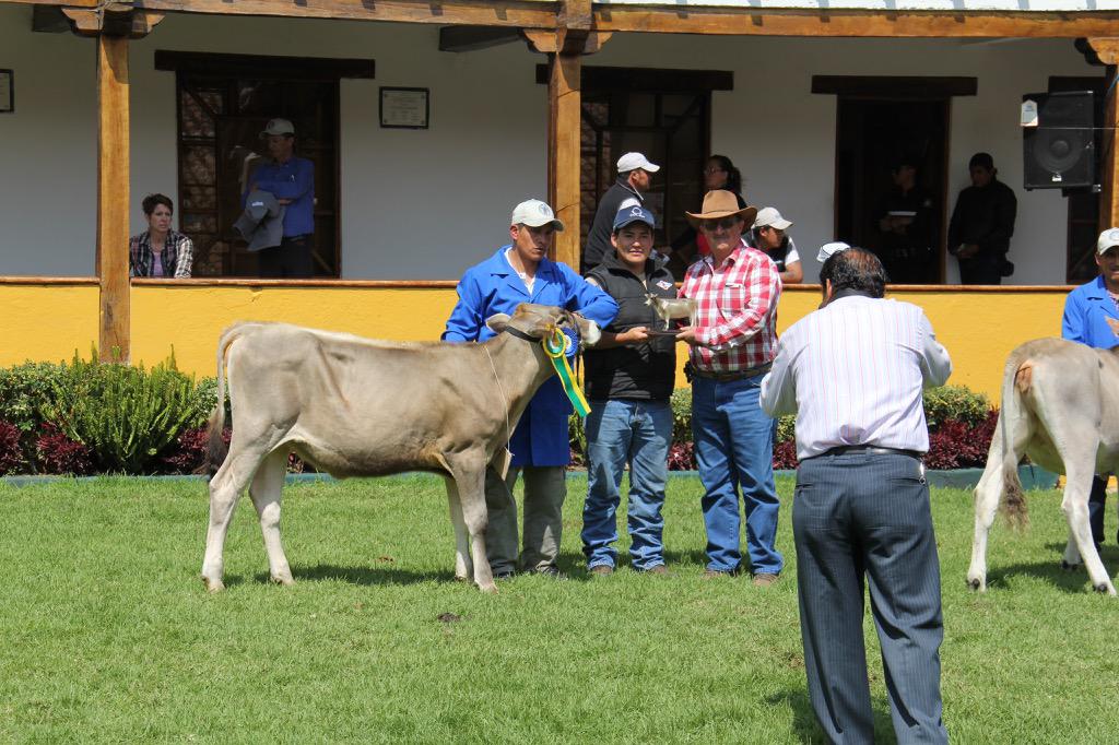 Feria Macaji en Riobamba