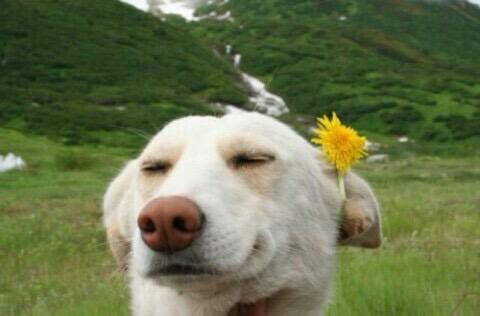 Have a beautiful day..*