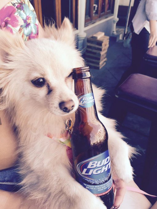 Hendrix... You're an alcoholic. #budweiser http://t.co/nItJp4XFnh<a href="/tag/budweiser"class="tags">#budweiser</a>
