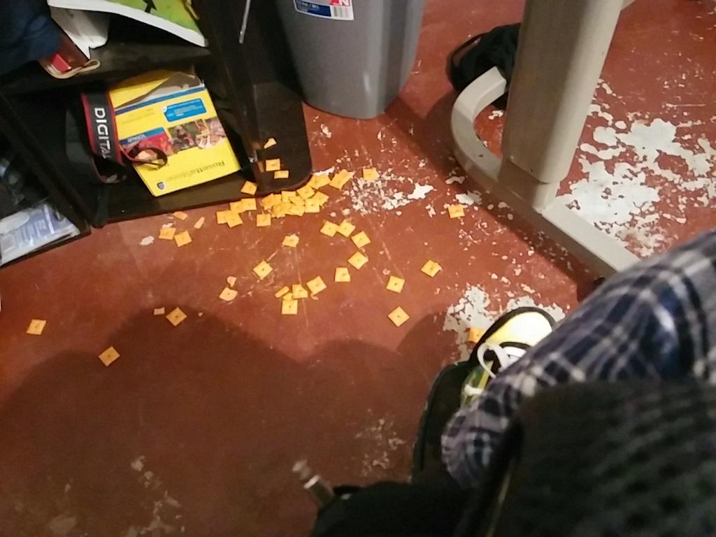LeoHodson's tweet photo. dropped my cheez its
Hope my weenie dog doesn't eat them all.
#Wheelife http://t.co/LDITovv1tk