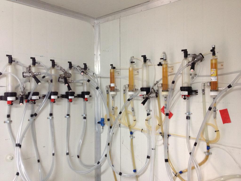 baylandsbrewery's tweet photo. Suddenly the chiller wall is a whole lot busier. #moretaps #ohyeah http://t.co/Ree6rxljsy