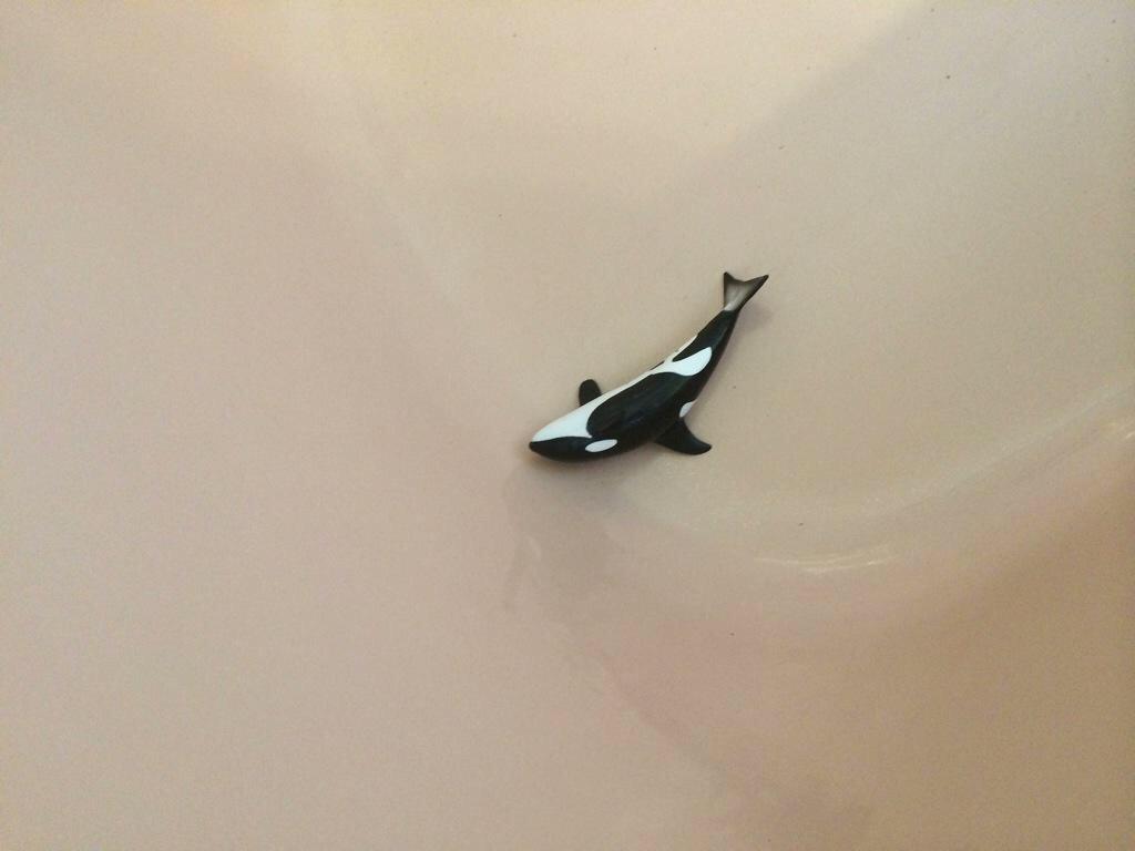 "this gon b u boi @whcrever"