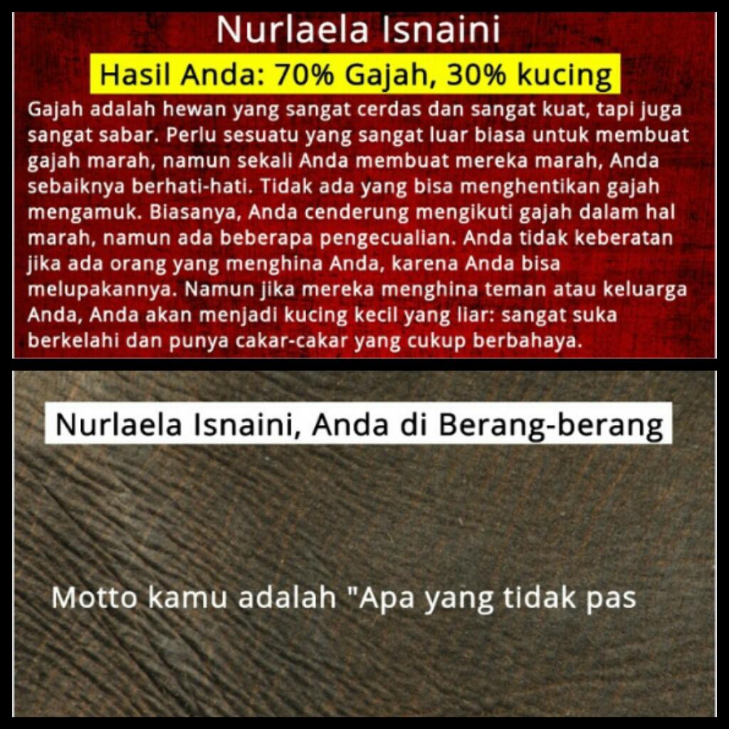 pimpim_prima's tweet photo. Kamu adalah wanita lembut. Selalu menjaga hati dan perasaan orang lain. Tidak mudah marah dan tidak mudah tersinggung http://t.co/PYu7hg4S0O