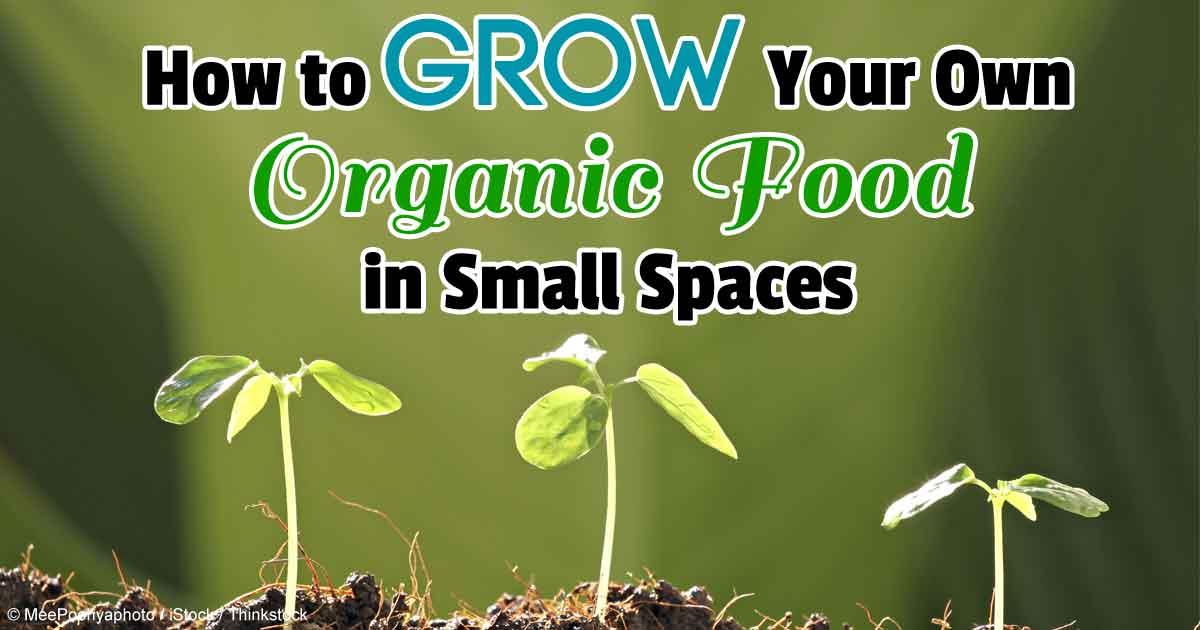 mercola's tweet photo. Do you live in a small space but are determined to grow your own garden? Here’s how... http://t.co/ynvLERVK6c http://t.co/g1A35fLnAU
