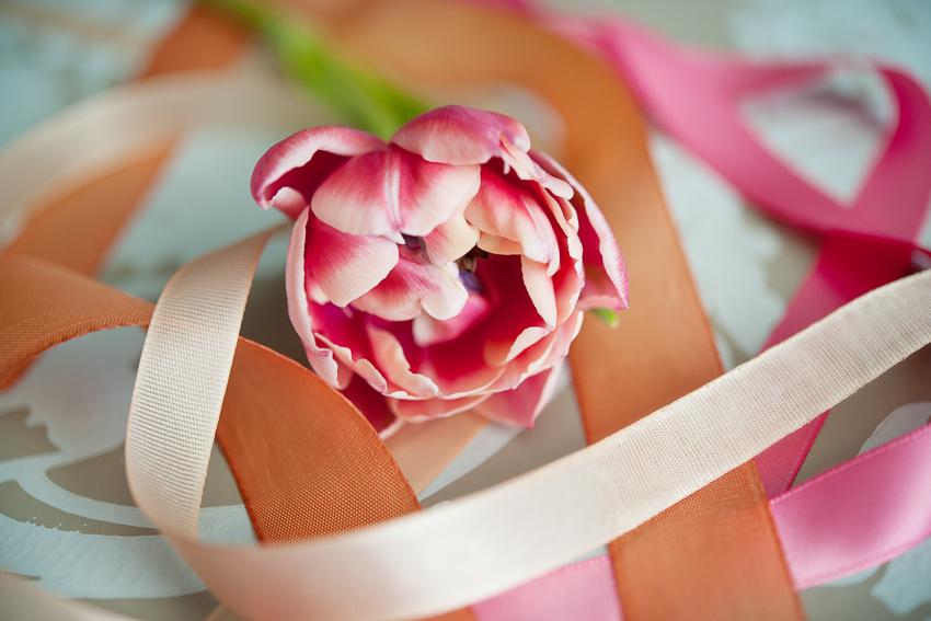FlowersByJanie's tweet photo. Double tulips on the blog today! Photo @tarawhitphoto http://t.co/2n9i99YVxU #doubletulip #floweroftheweek #yyc http://t.co/xq2W8heWMH