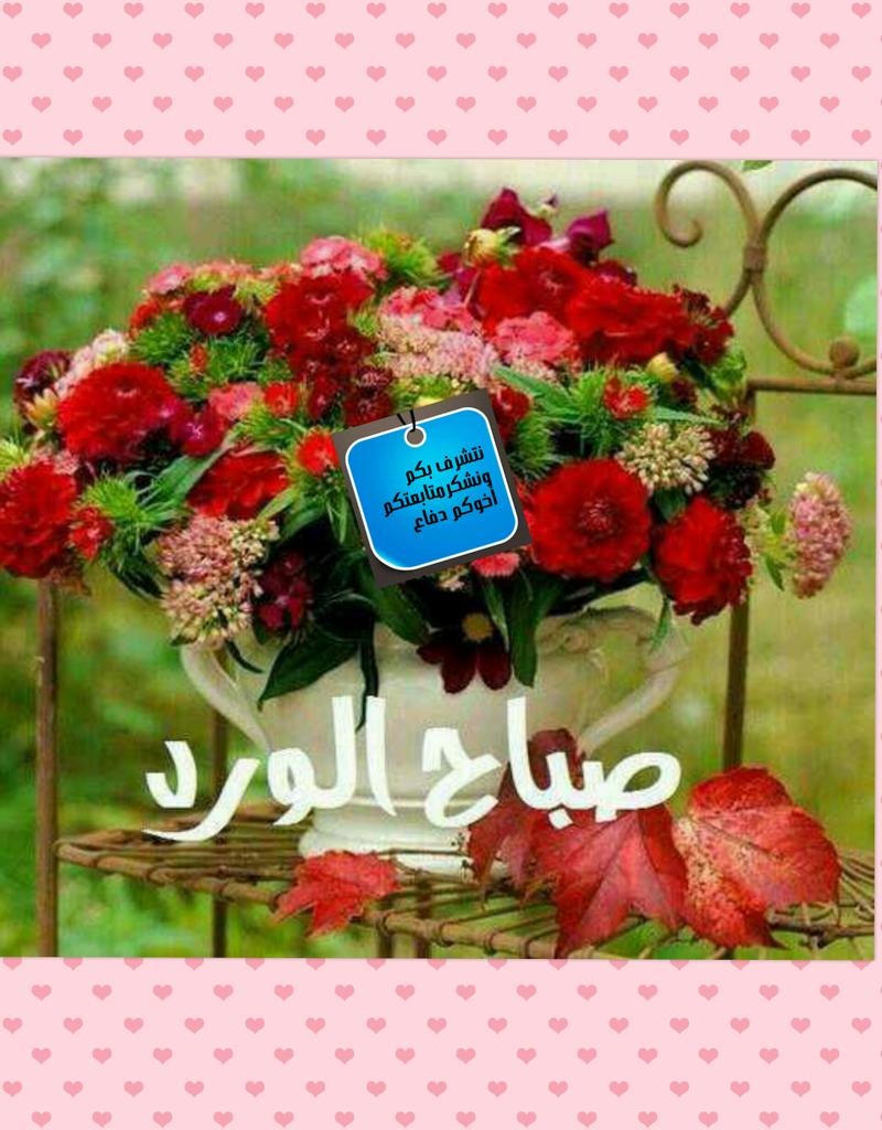 DEFAA  K.ALAWEE (@defaakadhem) on Twitter photo 