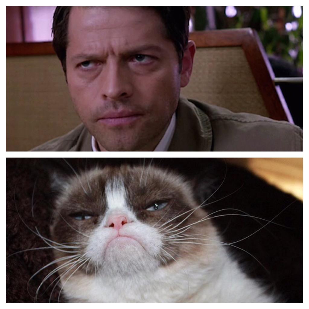 McSmiterton's tweet photo. .@kimrhodes4real For some reason I thought you'd understand: I made #GrumpyCas my default reply to all my work email. http://t.co/OeNJiQacbw