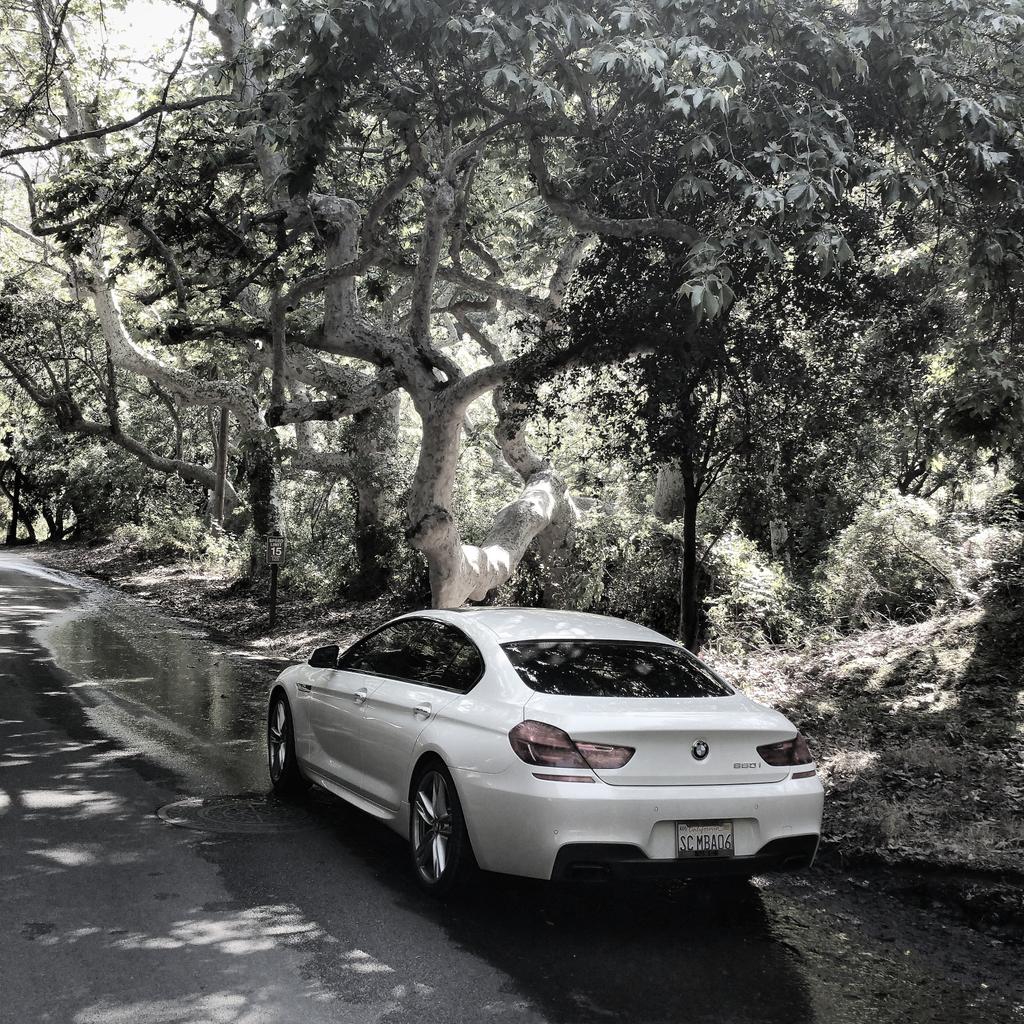 AppearMeApp's tweet image. Lemon Law Lawyer #lemonlaw #lemonlawfirm #consumerlaw MargarianLaw.com