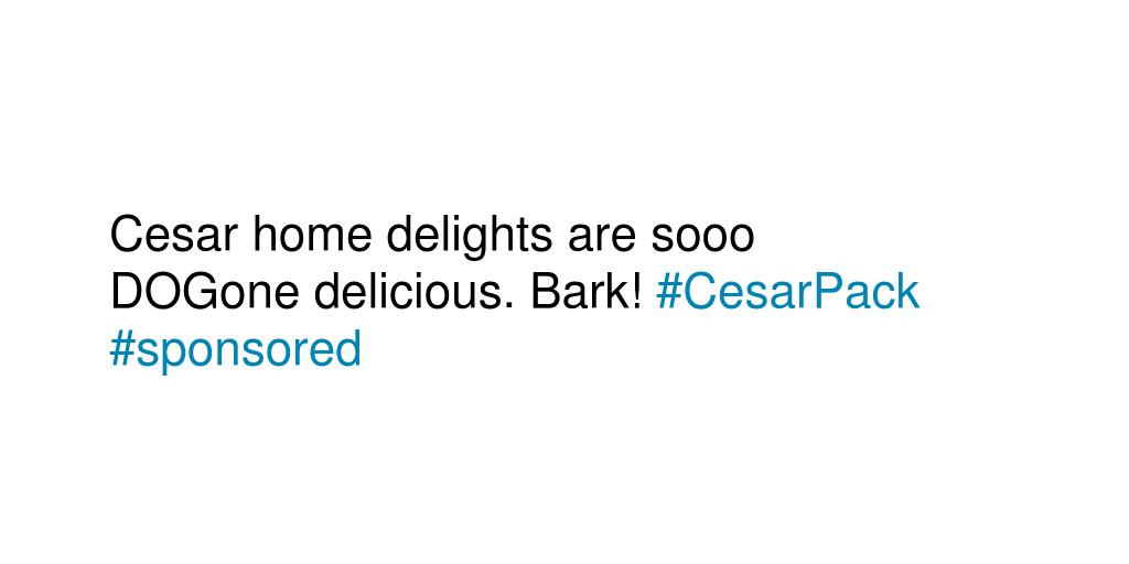 Pinkysgrandma's tweet photo. Write a review of Cesar home delights™ from the perspective of your pup!  #CesarPack #sponsored http://t.co/h64L82B09P