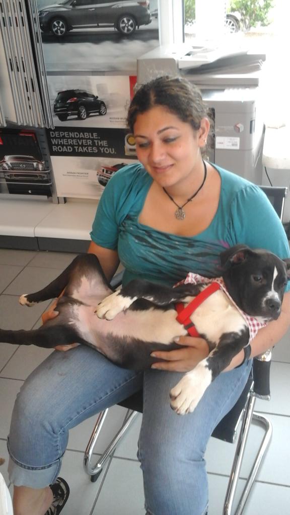 DogproblemsOne's tweet image. Great  event  at Vaden  Nissan  of Hinesville