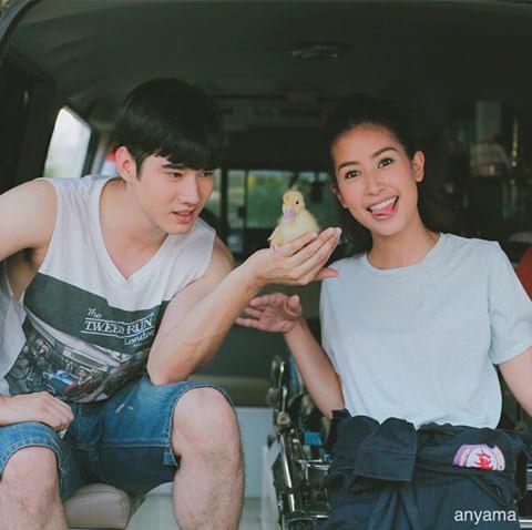 เป็ดสามตัว น่ารักจุงงง [cr.ตามภาพ]