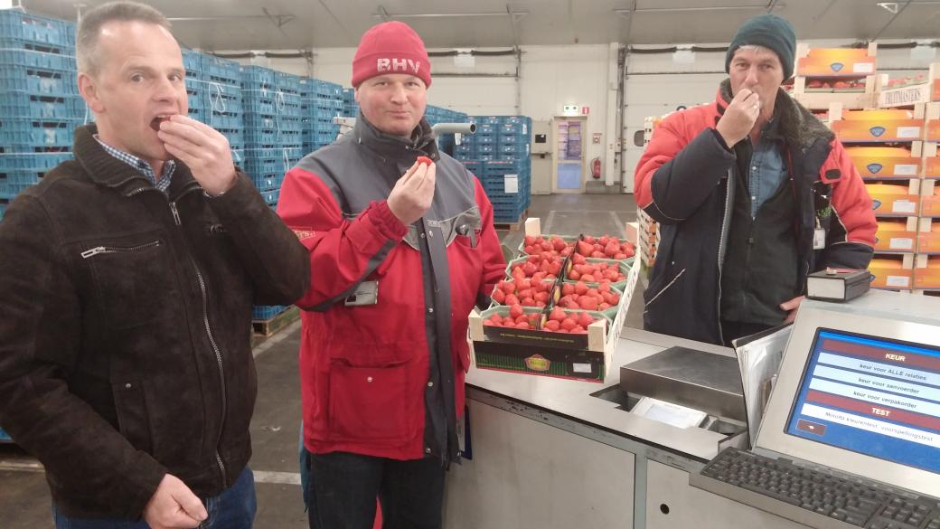 Dag v d aardbei volgens telers.Ze zijn er weer aardbeien uitde kas #sweetselfie <a href="/Fruitmasters/">Fruitmasters</a>  omroepgelderland.nl/web/nieuws-1/2…
