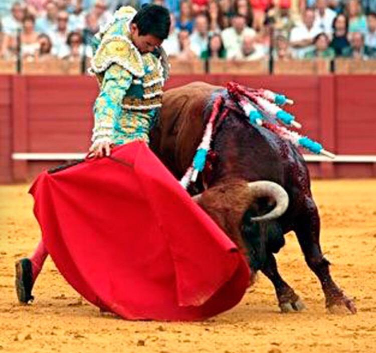 miguel_gomis's tweet photo. Hoy otra vez podremos disfrutar en @maestranzapages con @JMManzanares @JMManzanaresCF @prensaJMM @PTCManzanarista http://t.co/GPuuhfk9u7