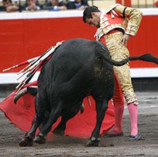 miguel_gomis's tweet photo. Hoy otra vez podremos disfrutar en @maestranzapages con @JMManzanares @JMManzanaresCF @prensaJMM @PTCManzanarista http://t.co/GPuuhfk9u7