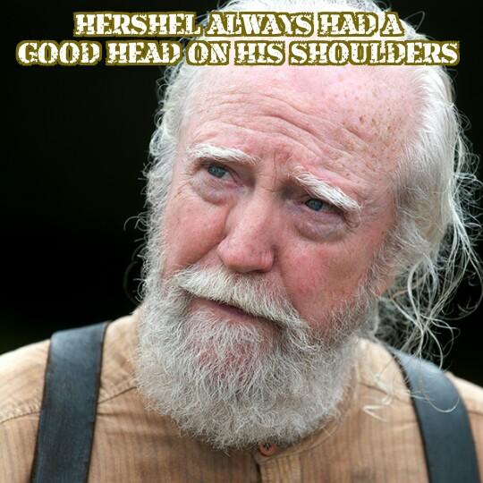 HerculesHandy's tweet photo. Goodmorning #TWDFamily @KatyaSiciliana @Mahogony_Stone @annadodson1959 @GreeneTigerEyes @lcwilli1 @EnerGiz_Dixon http://t.co/GfdAssooIl