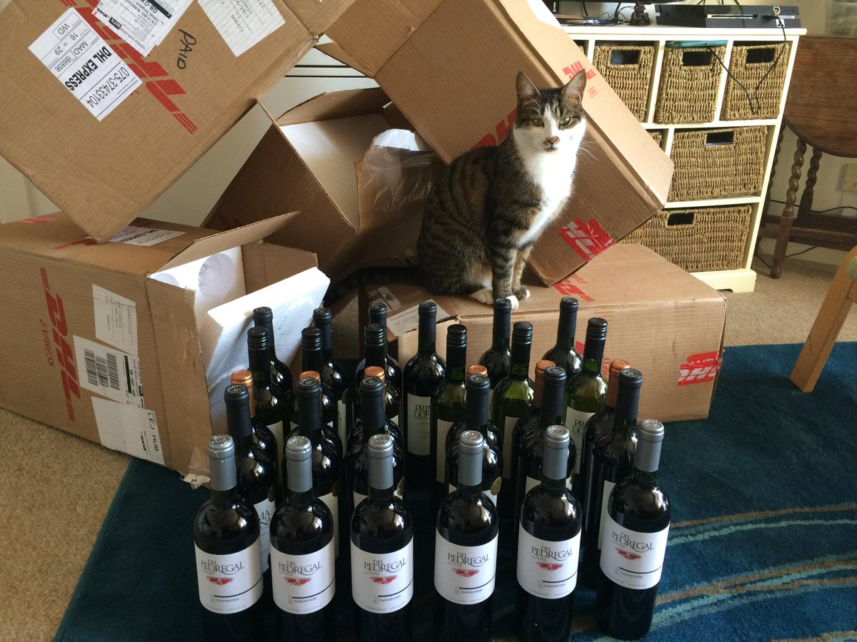 HarleyWines's tweet photo. Our head of security is guarding the first wave of our Uruguayan samples to arrive for @londonwinefair Stand F111. http://t.co/JT65CkyUNe