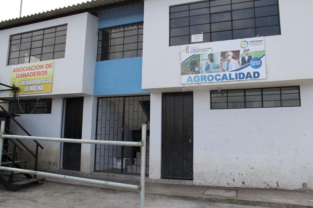 Necesitamos conocer modelos de recintos de comercialización de ganado, agradecemos se envíen fotos, aquí un ejemplo