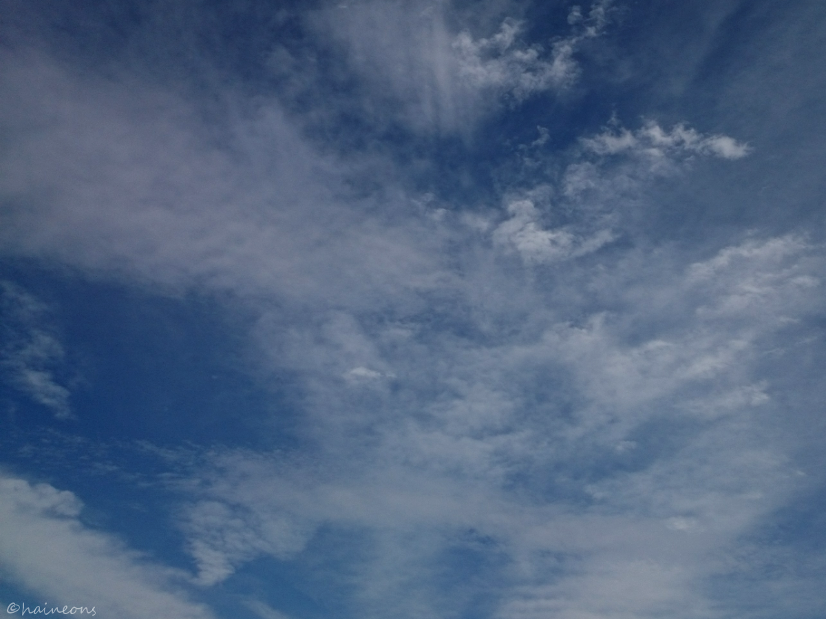 haineons's tweet photo. 風が強いから雲の流れが綺麗 #イマソラ #z1f http://t.co/2DzJqUTdXP