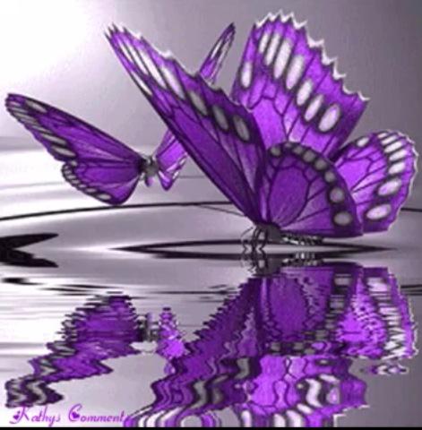 Conduru's tweet image. Butterflys are proof that we can go through darkness and still come out beautiful. #NeverGiveUp  via @tomalpat