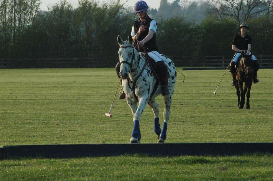 Amy Harper tweet media