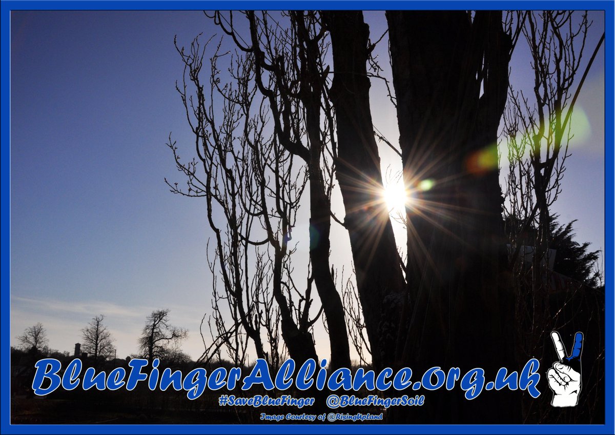 BlueFingerSoil's tweet photo. In such ugly times, the only true protest is beauty ~ Phil Ochs #BFWisdom http://t.co/dla3Blju2F http://t.co/ycYi86FhhB