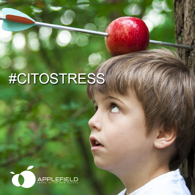 Heel veel #citostress voor de leerlingen van het basisonderwijs. Succes allemaal.
<a href="/applefieldtv/">Applefield Televisie</a> #applefield
