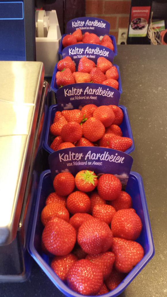 Mariska_Eggens's tweet photo. Vandaag #dagvandeaardbei dus ook hier...heerlijke Hollandse Aardbeien van @kalteraardbeien  #genieten! http://t.co/R9nH03dyey