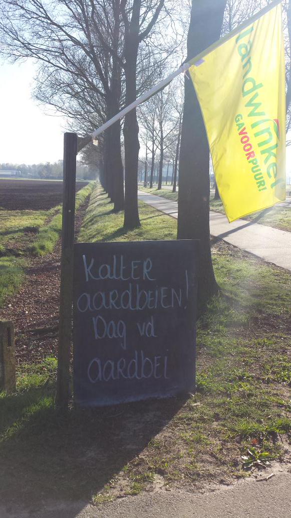 Vandaag #dagvandeaardbei dus ook hier...heerlijke Hollandse Aardbeien van <a href="/kalteraardbeien/">Annet Kalter</a>  #genieten!