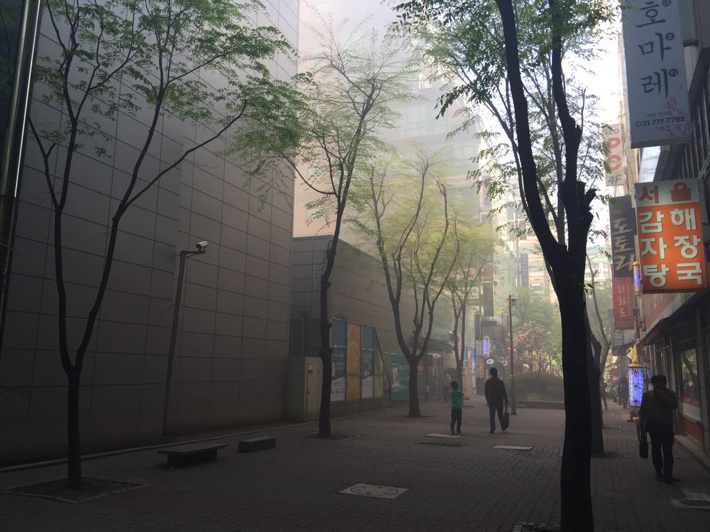 유장휴 tweet media