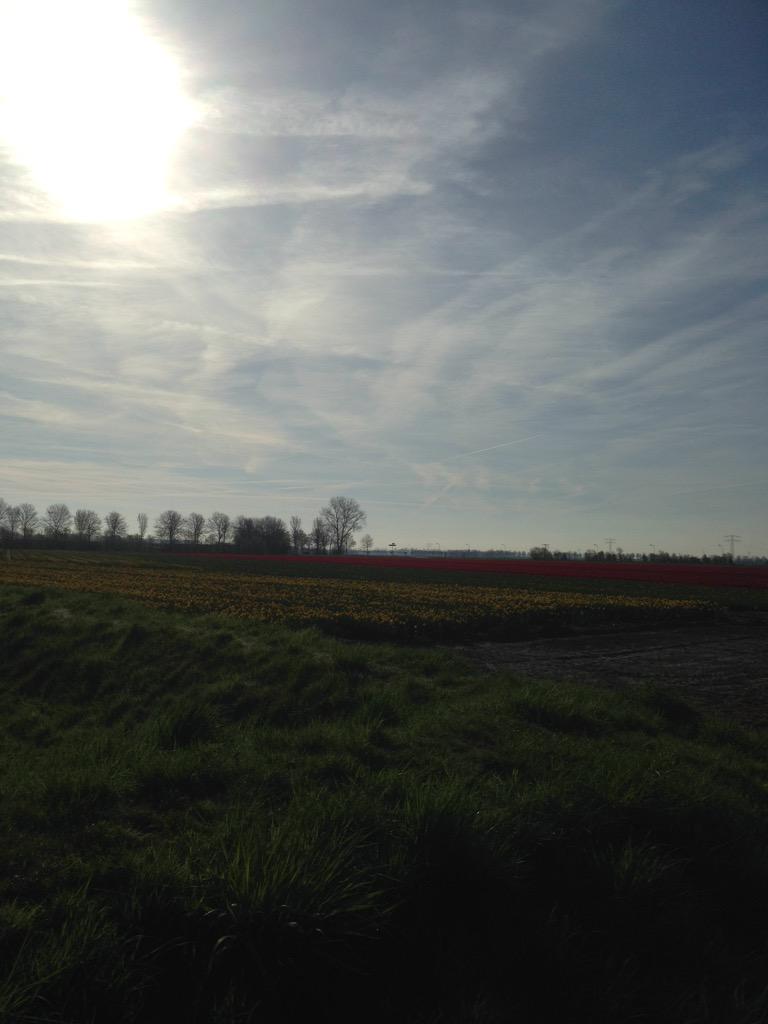 intrudermaccer's tweet image. Walk the dog! #tuples #flakee