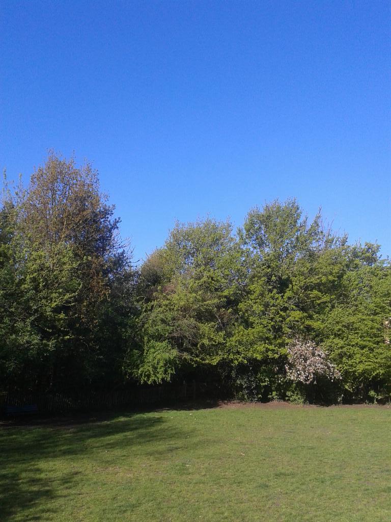 Friends of Gillespie tweet media