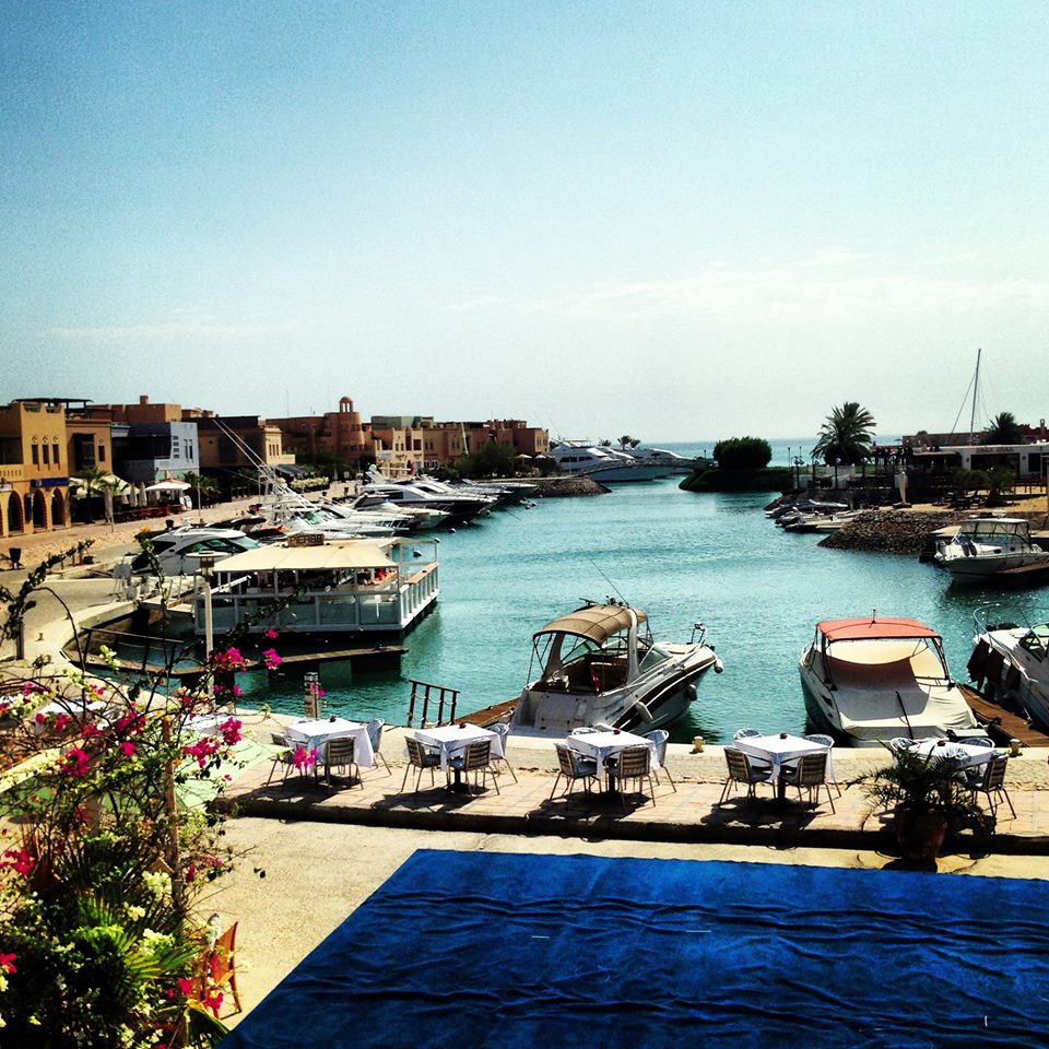 Waking up to this everyday.