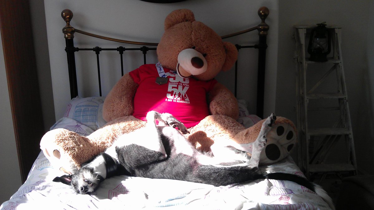 BubbulaHound's tweet photo. Sleepin http://t.co/5QZsvj9zDf