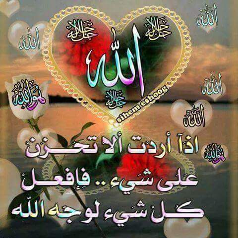 ecf71b57989e4d5's tweet photo. سبحان  الله  وبحمده http://t.co/1Jnesu1Bam