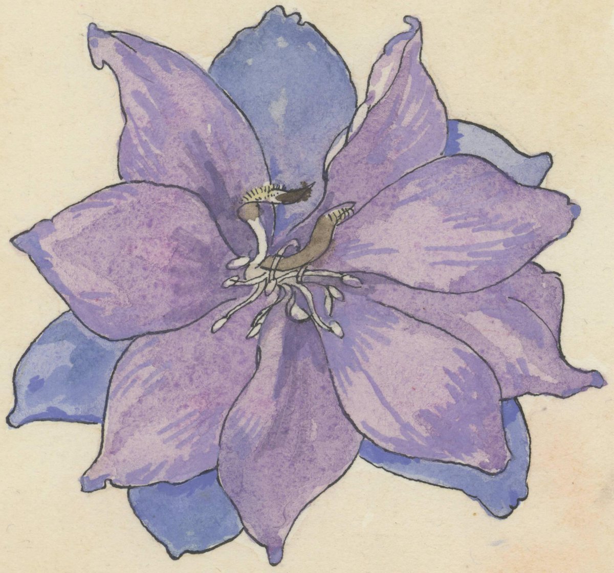 wurlibrary's tweet photo. Exhibition Fascinating Plants, Dutch Botanical Art @ Wageningen UR #wurlibrary http://t.co/RxXNQHLFuK http://t.co/TDme8kHgQX