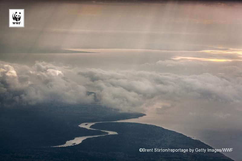WWFFrance's tweet photo. Alors que le Parc des Virunga fête aujourd'hui ses 90 ans, le WWF s’inquiète de son avenir http://t.co/zkwl4lrZaI http://t.co/tjOscgfMPr