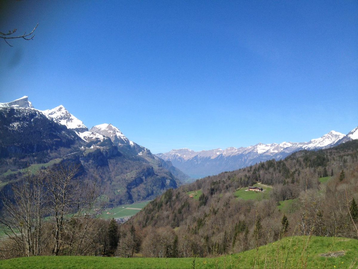 Artina_van_Es's tweet photo. Aktuell  #Hasliberg #haslital @SwissHostels @SwissHiking4Fun #cestlavie #Garten @Haslital @JungfrauRegion http://t.co/BuRFHd7DbQ