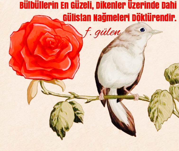Hazalgul94's tweet photo. "Hamdenlillah~ Eşşükr-i Lillah Ebeden ve Daimen RABB'İME..."http://t.co/4KzztX5Sd7”