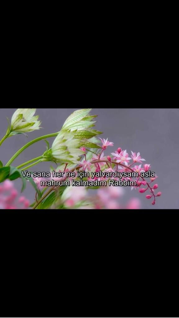 Hazalgul94's tweet photo. "HAMDOLSUN RABBİME... http://t.co/MXy5779Auv