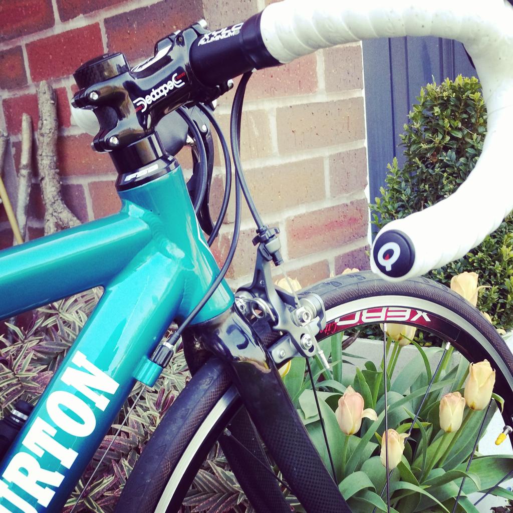 Daffodil01chase's tweet photo. Summer bike out! #summercycling #nomudguards ๐๐ฒ http://t.co/wZZi1XZPAg