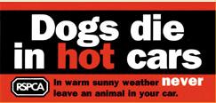 With the current spell of good weather, remember dogs die if left in a car and it really doesn't take long.