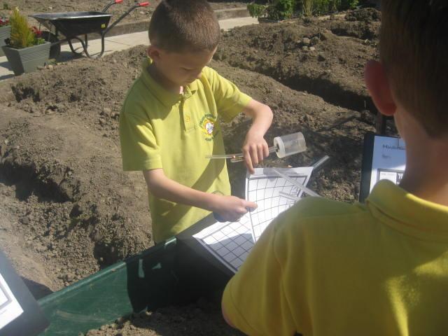 esgobmorgan's tweet photo. Year 3 enjoyed a lovely afternoon minibeast hunting around the school today @CaST_Cymru http://t.co/6StqDD0YnP