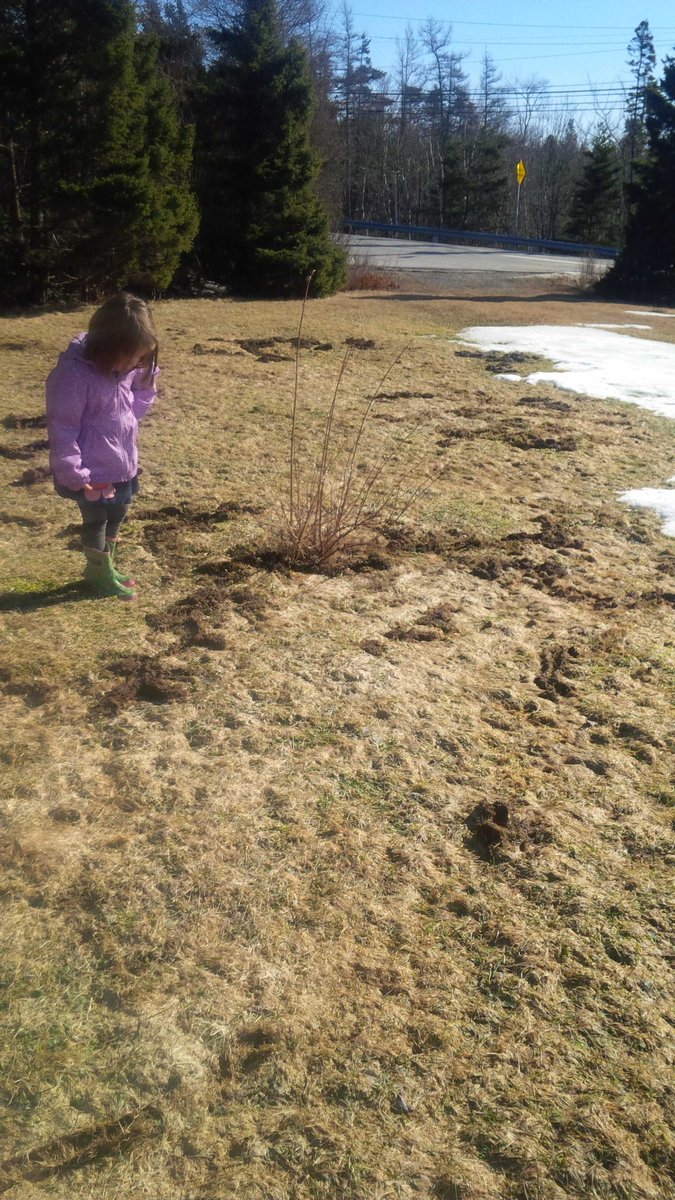 SaylorPerry's tweet image. 