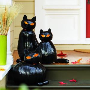 ZionTorr's tweet photo. Halloween http://t.co/ox0sIRGM3t . http://t.co/5vFWZScInz