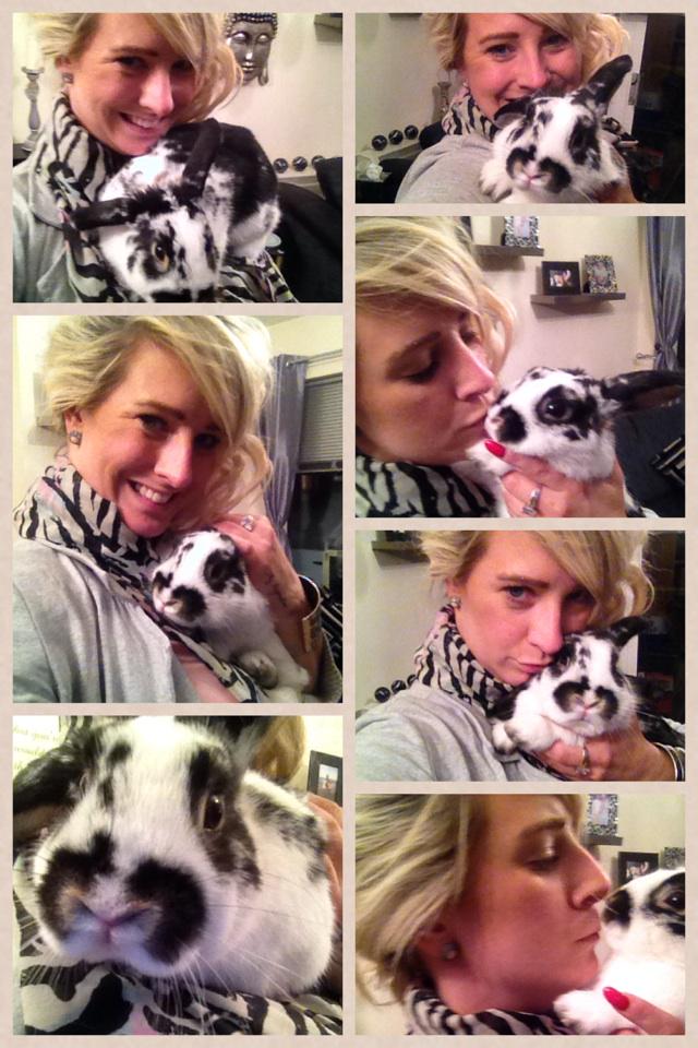 JennyMendham's tweet photo. Bunny love 💙🐰💙 http://t.co/sp2mCg7yAf http://t.co/GRc9QUaEoT