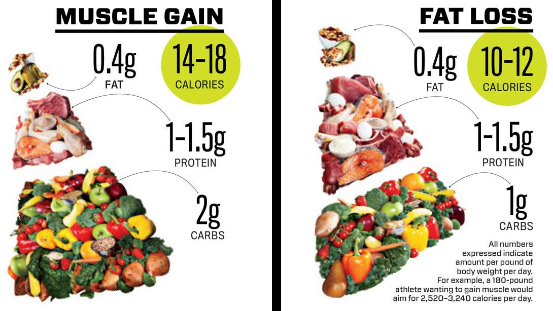muscle_fitness's tweet image. Build muscle with these nutritional basics. ow.ly/LS2J6