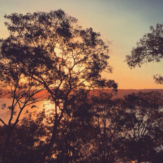 jotyrrellcreate's tweet image. #sydney #northernbeaches one of my all time favorite places