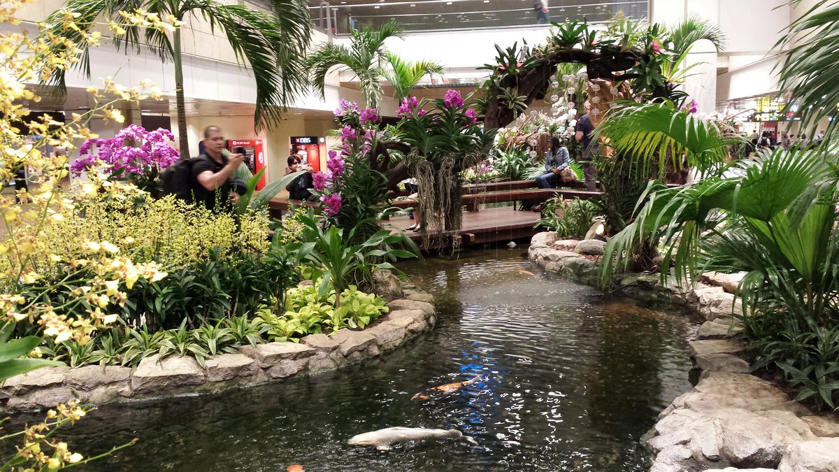 FairTSA's tweet photo. The orchid garden at Singapore Airport http://t.co/HB9yj0JoyV
