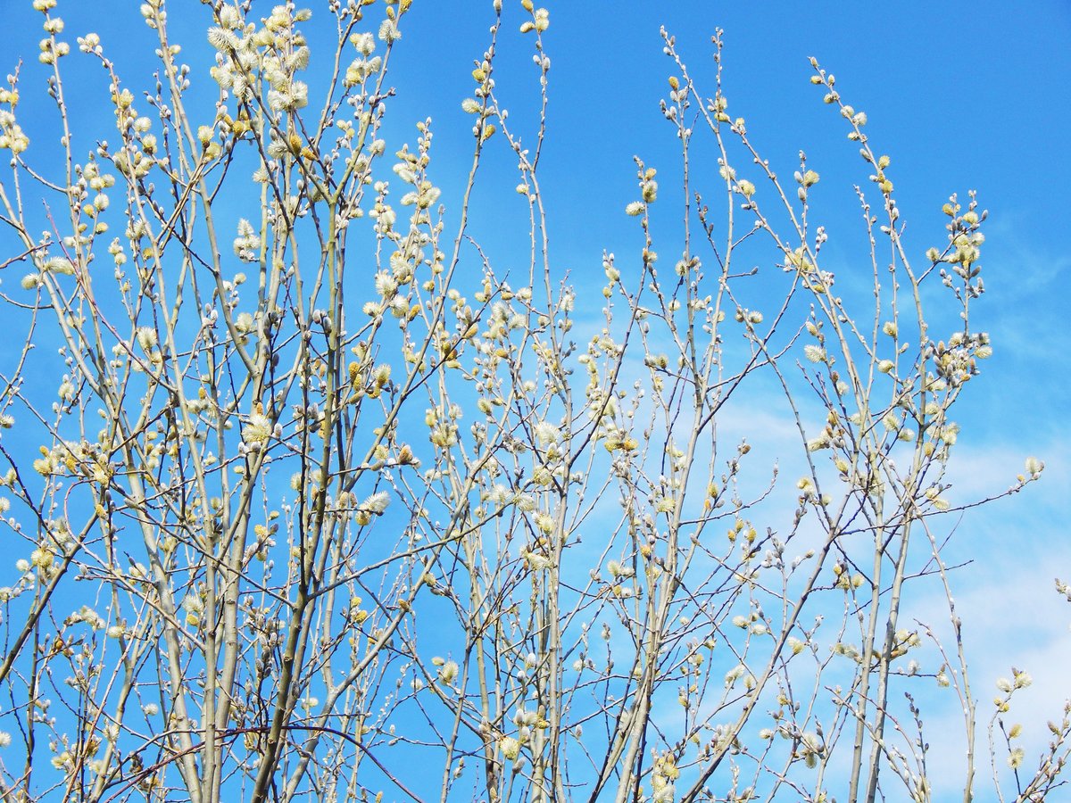 What a glorious Tuesday afternoon! Here's a brand new blog post to feast your eyes on! lifenistyle.blogspot.co.uk/2015/04/walk-i…